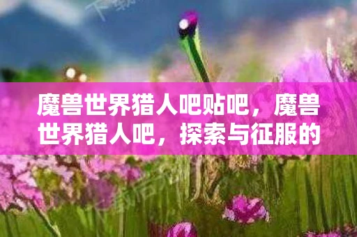 魔兽世界猎人吧贴吧，魔兽世界猎人吧，探索与征服的冒险之旅