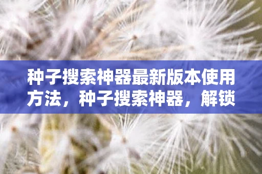种子搜索神器最新版本使用方法,种子搜索神器,解锁无限可能的最新探索 种子搜索神器最新版本使用方法,种子搜索神器,解锁无限可能的最新探索