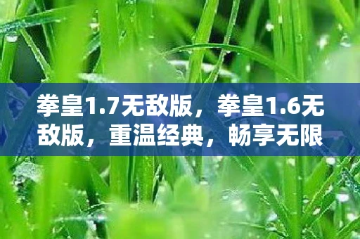 拳皇1.7无敌版,拳皇1.6无敌版,重温经典,畅享无限战斗 拳皇1.7无敌版,拳皇1.6无敌版,重温经典,畅享无限战斗