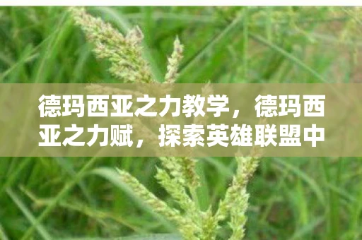 德玛西亚之力教学,德玛西亚之力赋,探索英雄联盟中的力量之源 德玛西亚之力教学,德玛西亚之力赋,探索英雄联盟中的力量之源