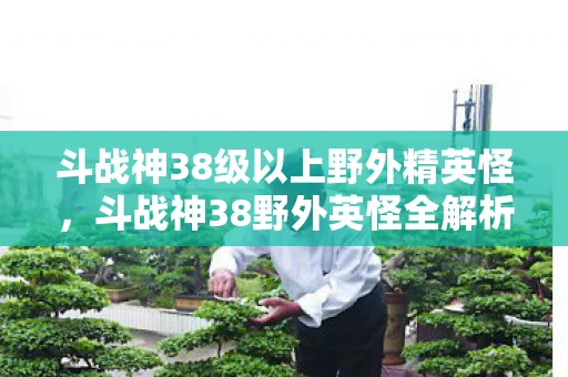 斗战神38级以上野外精英怪，斗战神38野外英怪全解析
