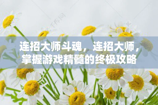 连招大师斗魂，连招大师，掌握游戏精髓的终极攻略