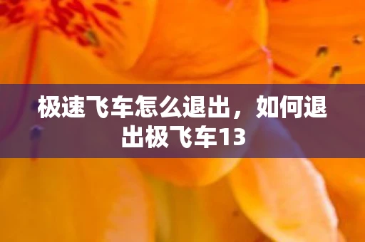 极速飞车怎么退出，如何退出极飞车13