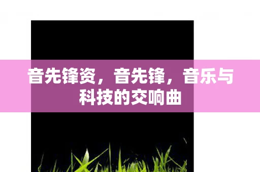 音先锋资,音先锋,音乐与科技的交响曲 音先锋资,音先锋,音乐与科技的交响曲