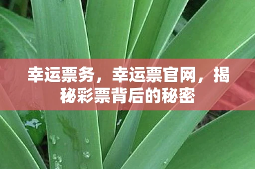 幸运票务,幸运票官网,揭秘彩票背后的秘密 幸运票务,幸运票官网,揭秘彩票背后的秘密