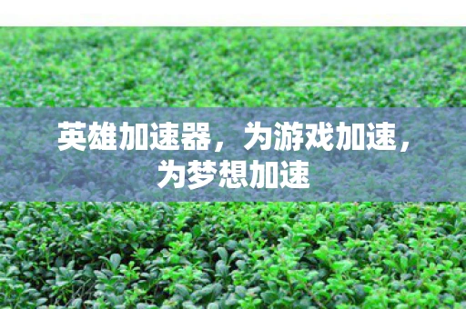 英雄加速器,为游戏加速,为梦想加速 英雄加速器,为游戏加速,为梦想加速