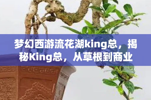 梦幻西游流花湖king总,揭秘King总,从草根到商业巨擘的传奇之路 梦幻西游流花湖king总,揭秘King总,从草根到商业巨擘的传奇之路