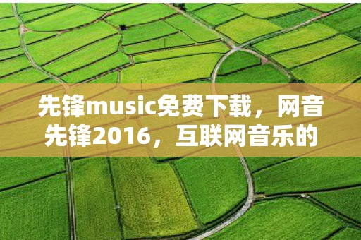先锋music免费下载，网音先锋2016，互联网音乐的新纪元