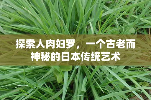 探索人肉妇罗,一个古老而神秘的日本传统艺术 探索人肉妇罗,一个古老而神秘的日本传统艺术
