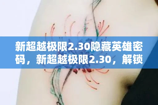 新超越极限2.30隐藏英雄密码，新超越极限2.30，解锁游戏新境界的终极挑战