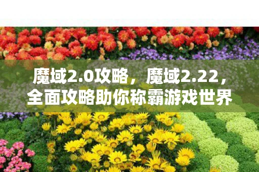 魔域2.0攻略，魔域2.22，全面攻略助你称霸游戏世界