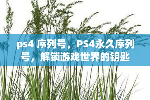 ps4 序列号,PS4永久序列号,解锁游戏世界的钥匙 ps4 序列号,PS4永久序列号,解锁游戏世界的钥匙