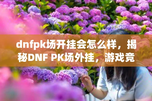dnfpk场开挂会怎么样，揭秘DNF PK场外挂，游戏竞技的灰色阴影