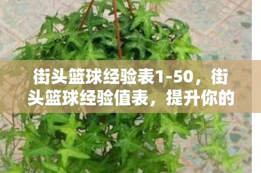 街头篮球经验表1-50，街头篮球经验值表，提升你的游戏技巧