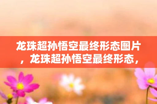 龙珠超孙悟空最终形态图片，龙珠超孙悟空最终形态，超越极限的力量