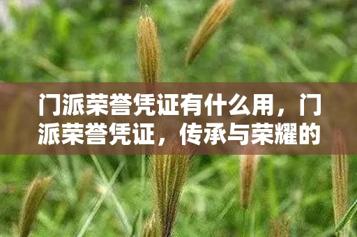 门派荣誉凭证有什么用，门派荣誉凭证，传承与荣耀的象征