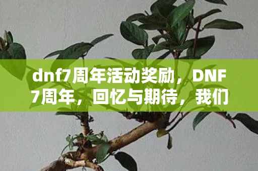dnf7周年活动奖励，DNF7周年，回忆与期待，我们共同走过的冒险之旅