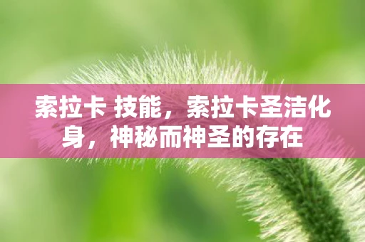 索拉卡 技能,索拉卡圣洁化身,神秘而神圣的存在 索拉卡 技能,索拉卡圣洁化身,神秘而神圣的存在