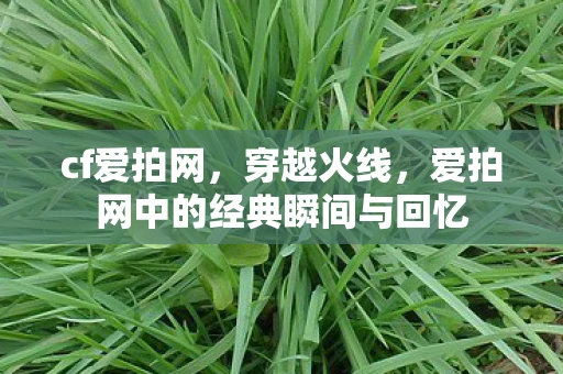 cf爱拍网，穿越火线，爱拍网中的经典瞬间与回忆