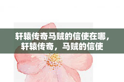 轩辕传奇马贼的信使在哪，轩辕传奇，马贼的信使
