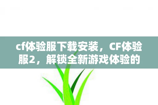 cf体验服下载安装，CF体验服2，解锁全新游戏体验的钥匙