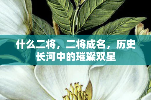 什么二将，二将成名，历史长河中的璀璨双星