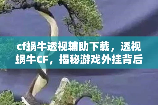 cf蜗牛透视辅助下载，透视蜗牛CF，揭秘游戏外挂背后的灰色产业链