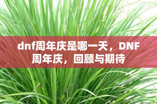 dnf周年庆是哪一天，DNF周年庆，回顾与期待