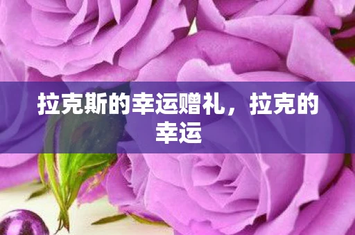拉克斯的幸运赠礼,拉克的幸运 拉克斯的幸运赠礼,拉克的幸运