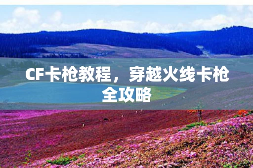 穿越火线卡枪全攻略图片