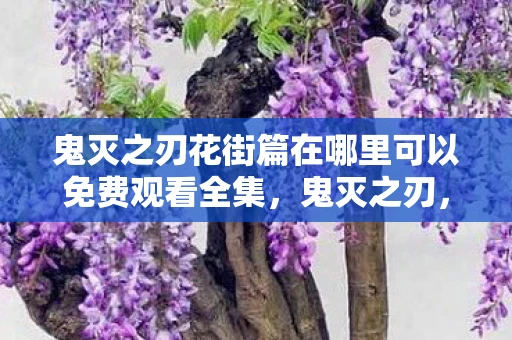 鬼灭之刃花街篇在哪里可以免费观看全集，鬼灭之刃，花街篇的震撼登场与独特魅力