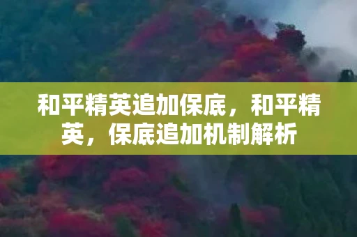 和平精英追加保底，和平精英，保底追加机制解析
