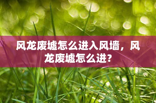 风龙废墟怎么进入风墙，风龙废墟怎么进？