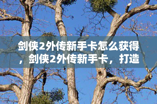 剑侠2外传新手卡怎么获得,剑侠2外传新手卡,打造你的江湖之旅 剑侠2外传新手卡怎么获得,剑侠2外传新手卡,打造你的江湖之旅