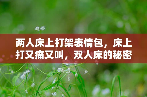 两人床上打架表情包,床上打又痛又叫,双人床的秘密 两人床上打架表情包,床上打又痛又叫,双人床的秘密