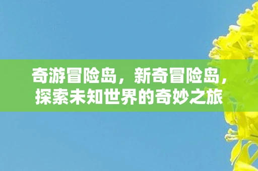 奇游冒险岛，新奇冒险岛，探索未知世界的奇妙之旅