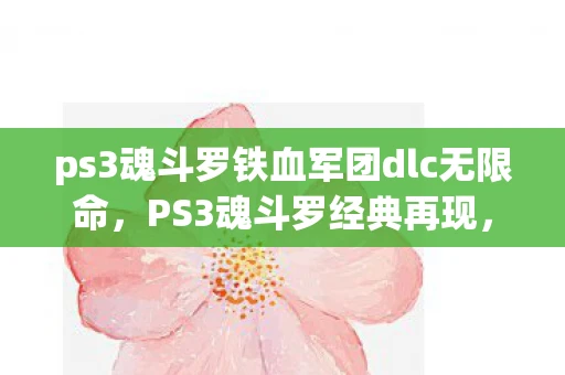 ps3魂斗罗铁血军团dlc无限命，PS3魂斗罗经典再现，重温童年回忆的绝佳选择