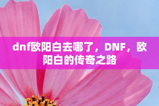 dnf欧阳白去哪了，DNF，欧阳白的传奇之路