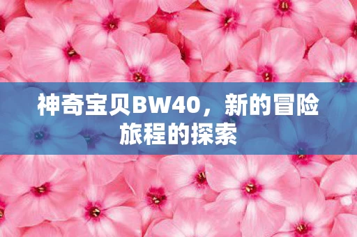新的冒险旅程的探索图片