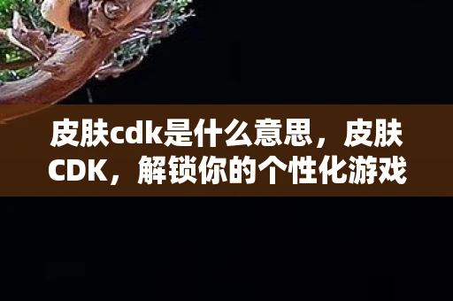 皮肤cdk是什么意思，皮肤CDK，解锁你的个性化游戏之旅