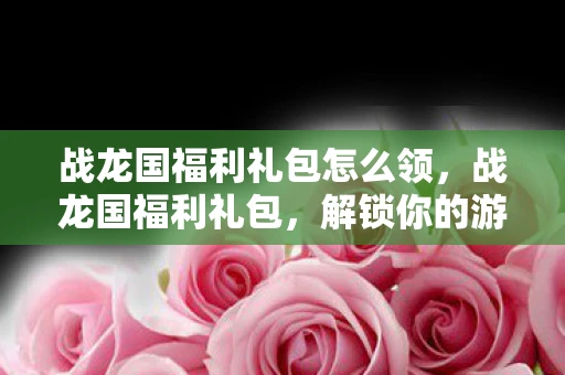战龙国福利礼包怎么领，战龙国福利礼包，解锁你的游戏新体验