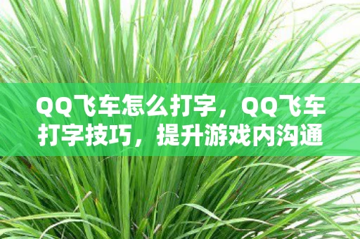 QQ飞车怎么打字,QQ飞车打字技巧,提升游戏内沟通效率 QQ飞车怎么打字,QQ飞车打字技巧,提升游戏内沟通效率