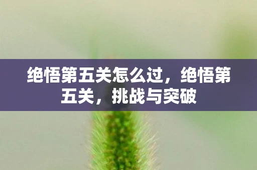 绝悟第五关怎么过，绝悟第五关，挑战与突破