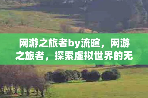 网游之旅者by流暄，网游之旅者，探索虚拟世界的无限可能