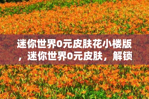 迷你世界0元皮肤花小楼版，迷你世界0元皮肤，解锁你的游戏新体验