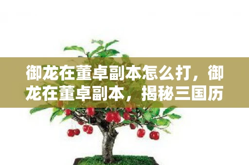 御龙在董卓副本怎么打,御龙在董卓副本,揭秘三国历史的另类视角 御龙在董卓副本怎么打,御龙在董卓副本,揭秘三国历史的另类视角