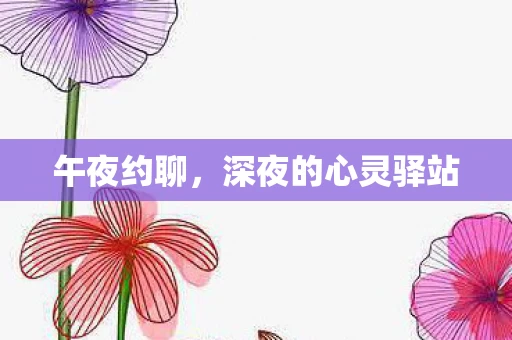 深夜的心灵驿站图片