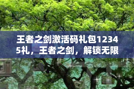 王者之剑激活码礼包12345礼，王者之剑，解锁无限可能的神秘激活码礼包