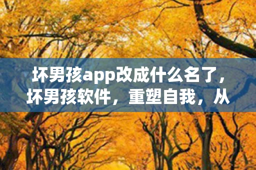 坏男孩app改成什么名了，坏男孩软件，重塑自我，从改变开始