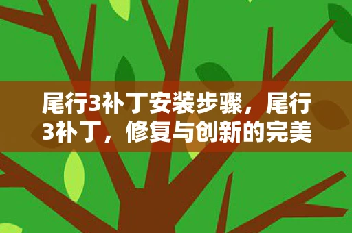 尾行3补丁安装步骤，尾行3补丁，修复与创新的完美融合
